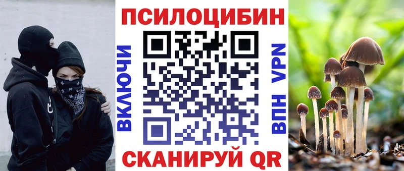 Галлюциногенные грибы прущие грибы  ОМГ ОМГ как войти  Киржач  магазин продажи наркотиков 